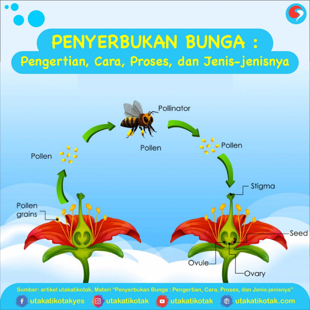 Penyerbukan Oleh Serangga Homecare24